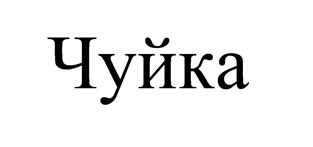 чуйка