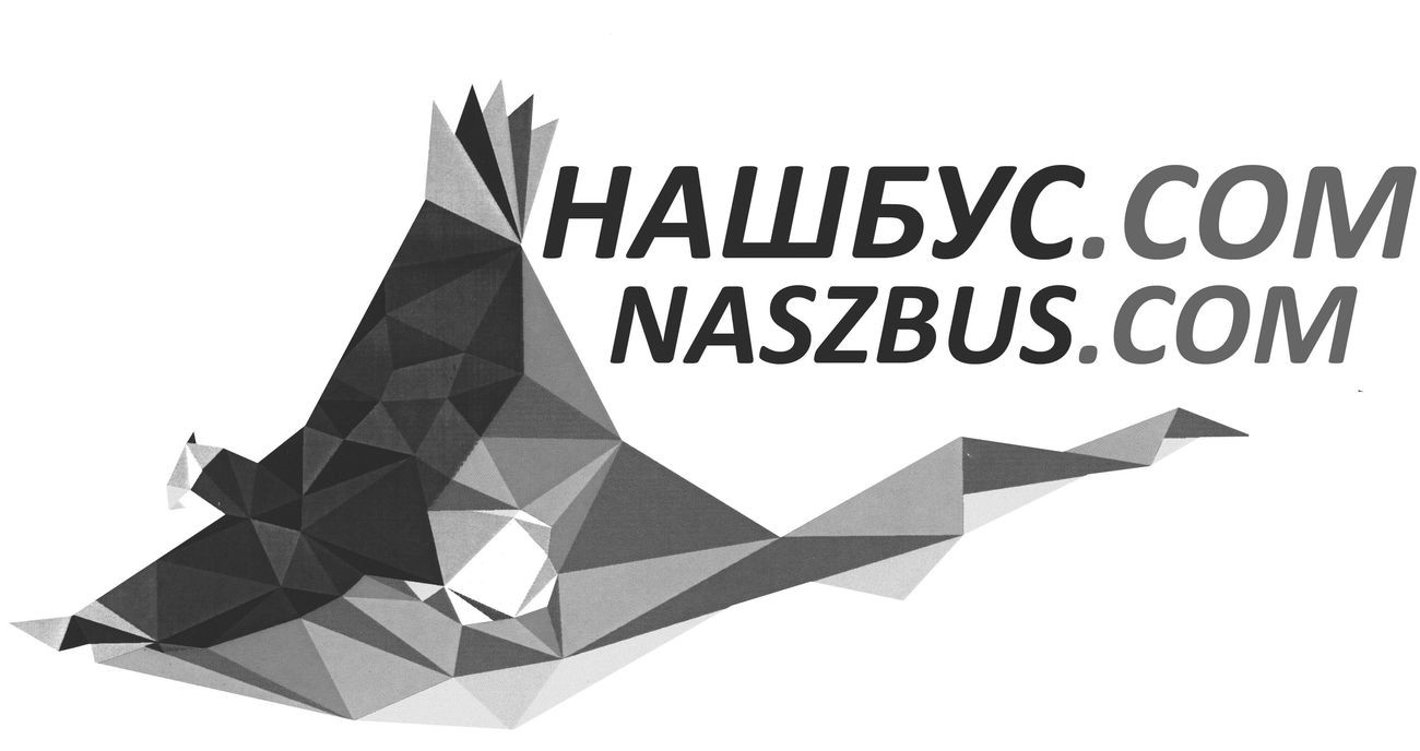 nasz bus com