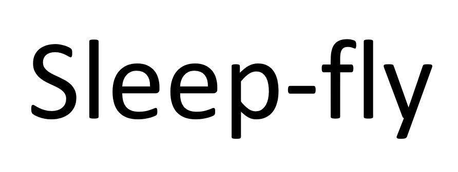 sleep-fly
