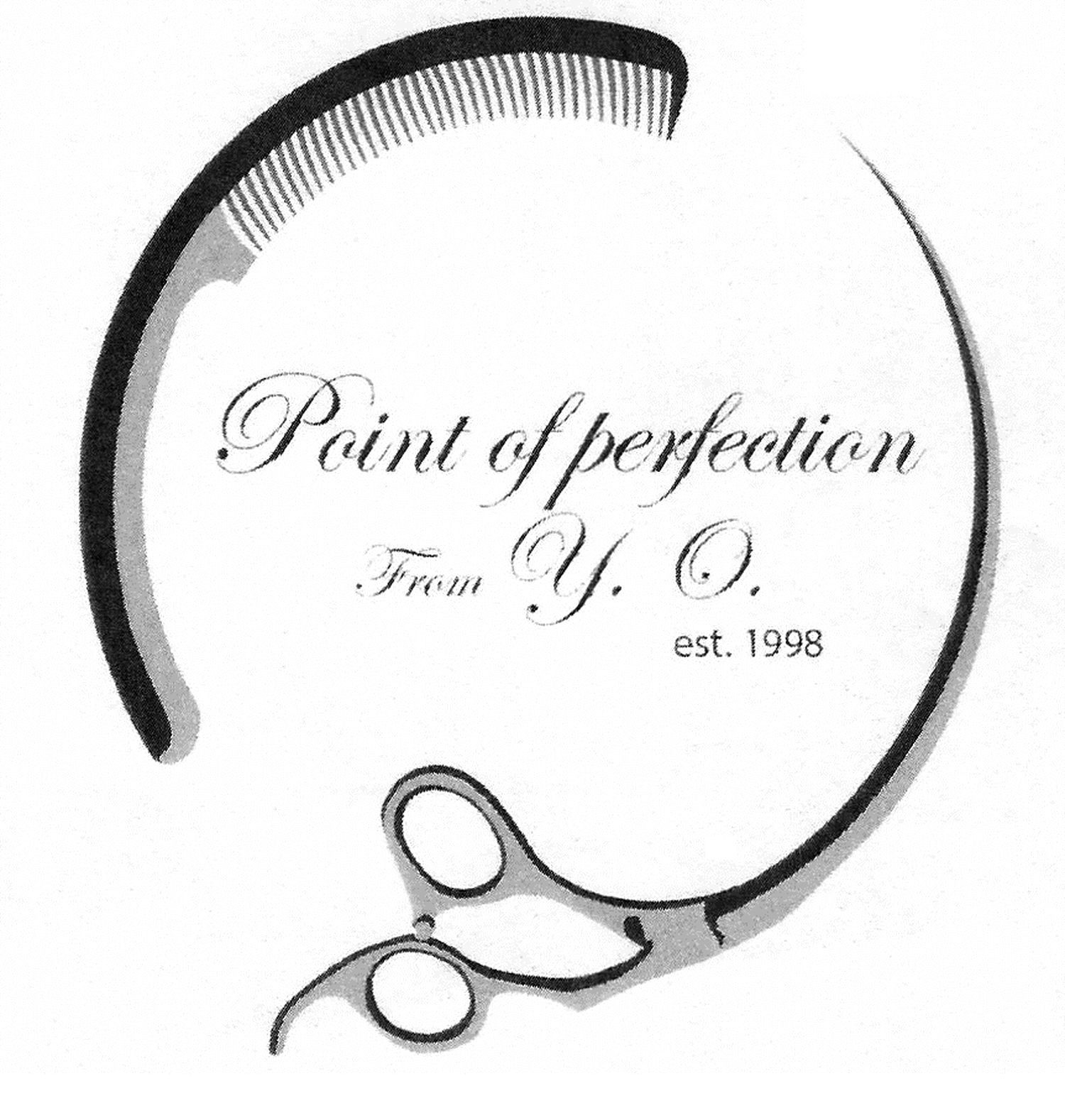 point of perfection from y.o.