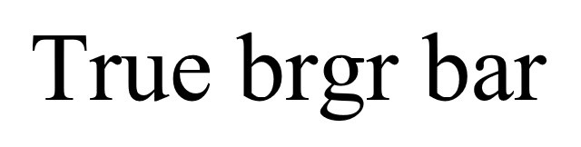 true brgr bar