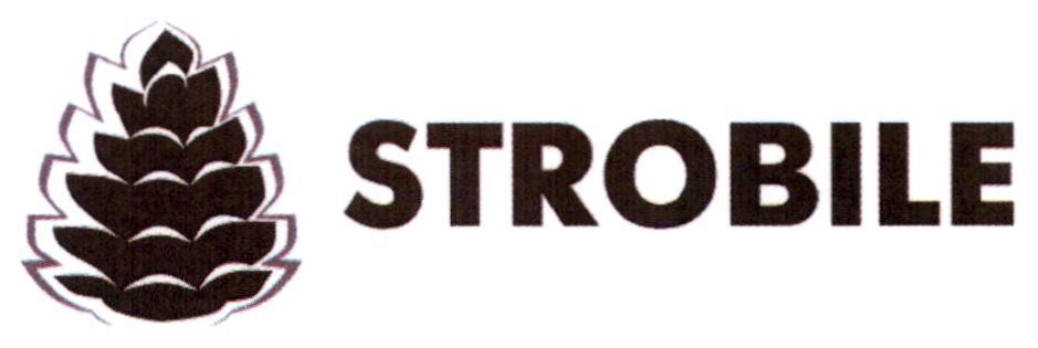 strobile