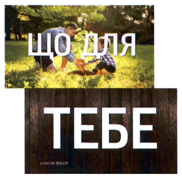 спонсор показу