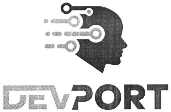 dev port