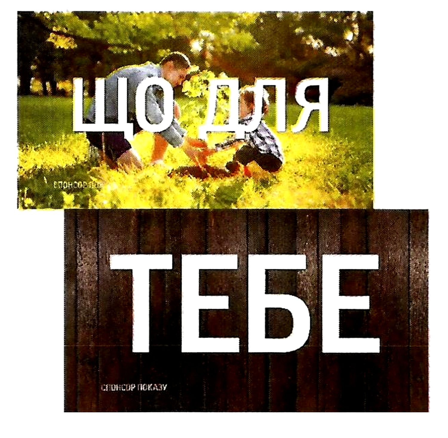 спонсор показу