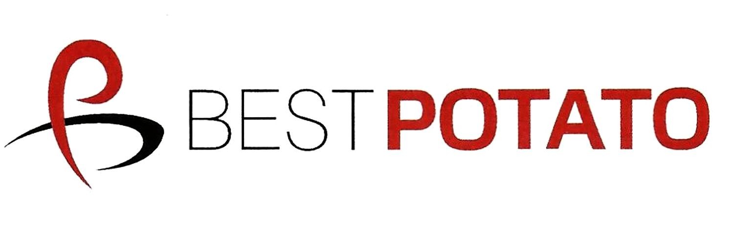 best potato