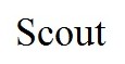 scout