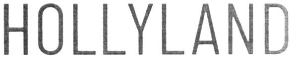 hollyland