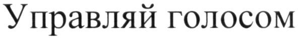 управляй голосом