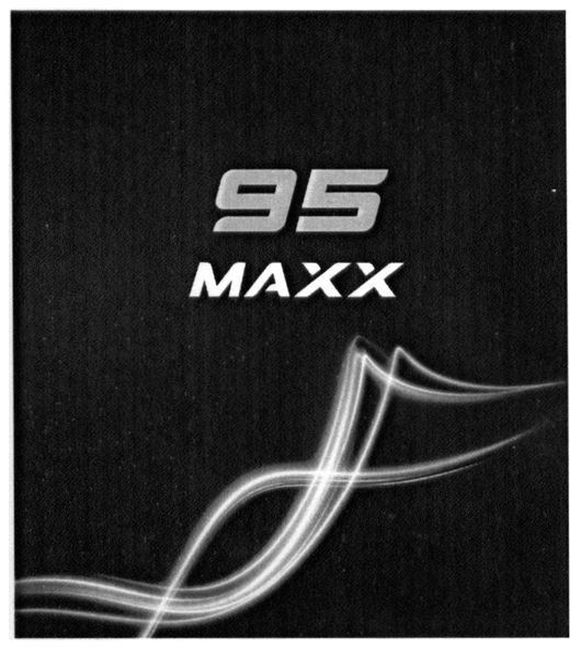 95 maxx