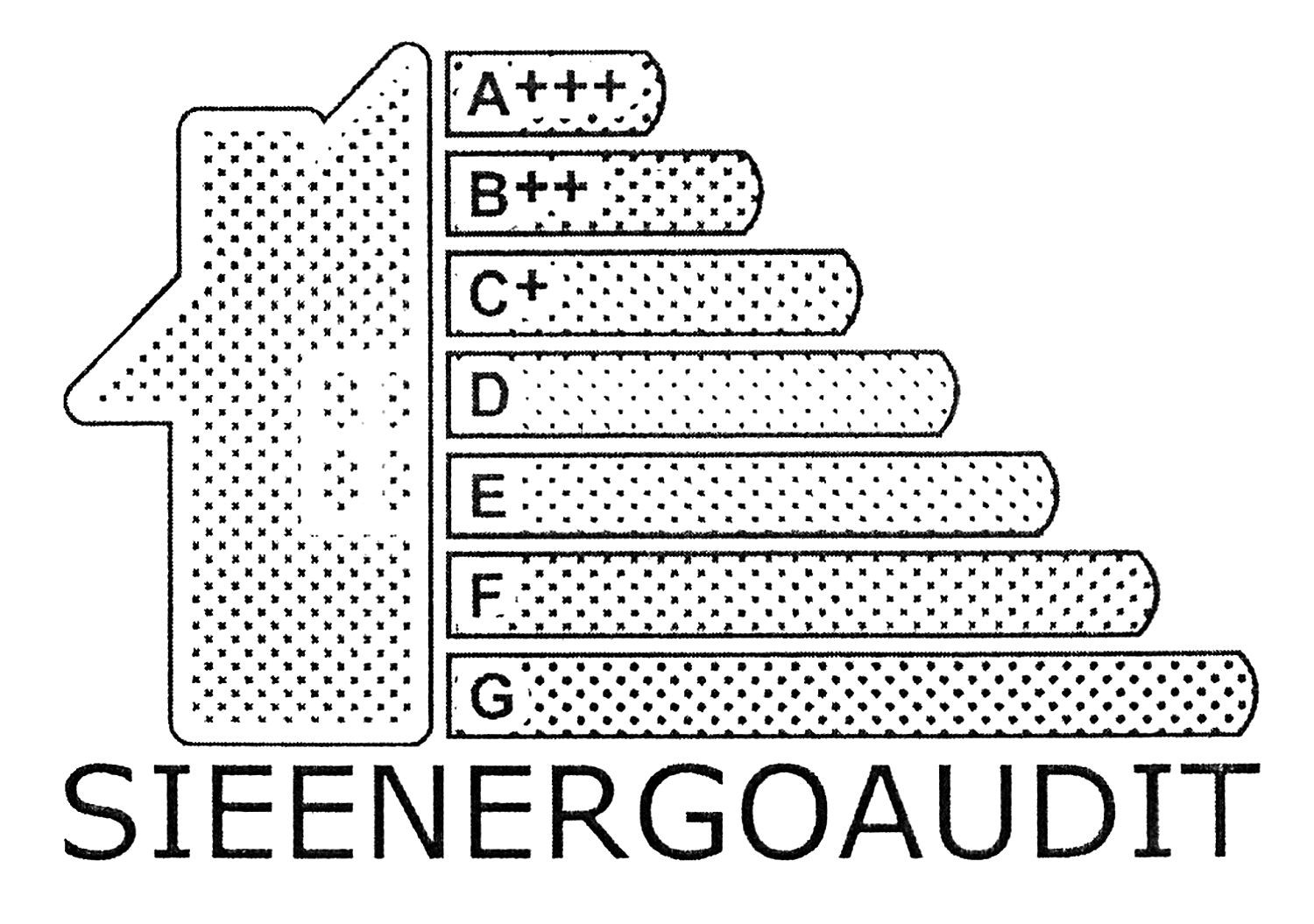 sieenergoaudit