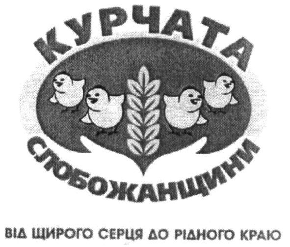 курчата слобожанщини від щирого серця до рідного краю