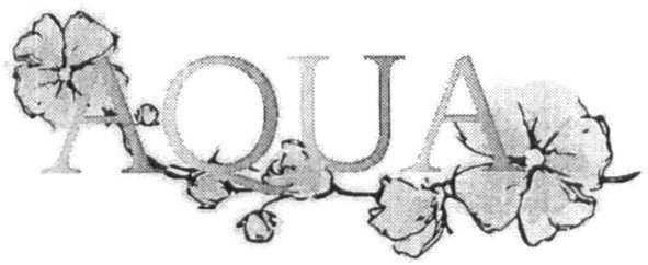 aqua