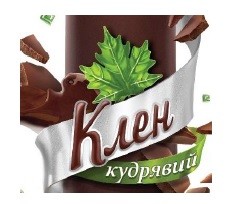 клен кудрявий