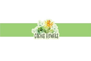 cactus flowers