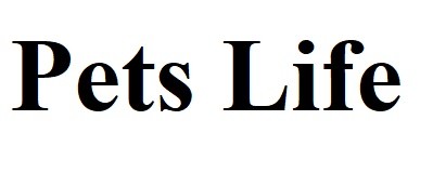 pets life
