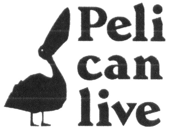pelican live