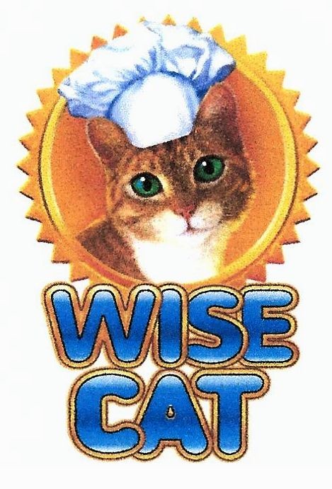 wise cat