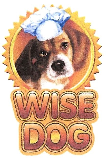 wise dog
