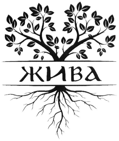 жива