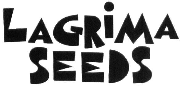 lagrima seeds