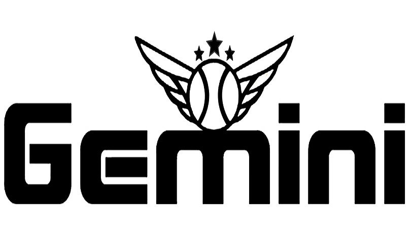 gemini