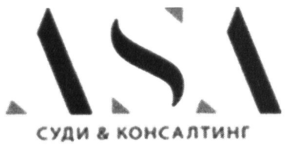суди консалтинг