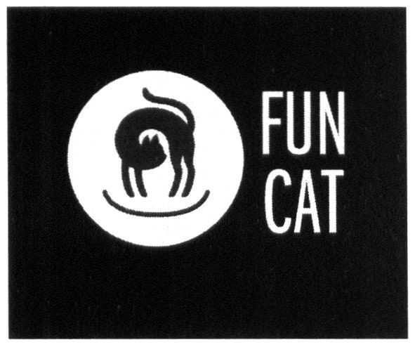 fun cat