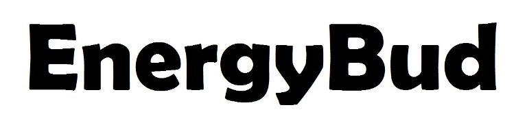 energy bud