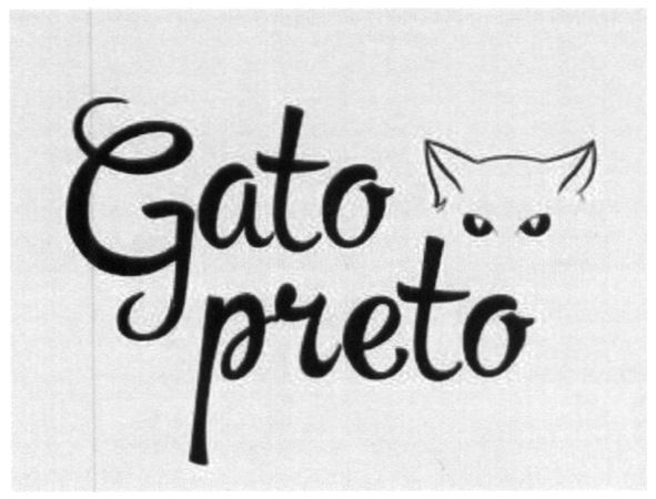 gato preto