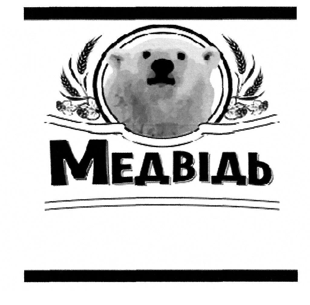 медвідь