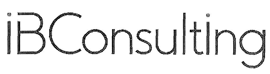ibconsulting