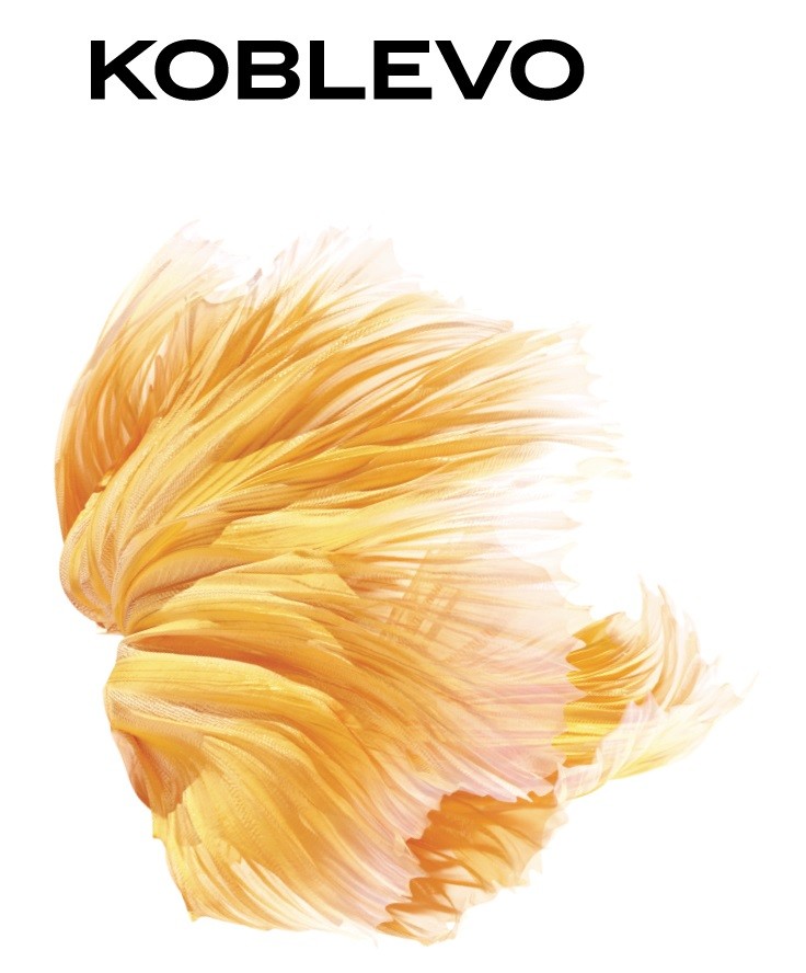 koblevo