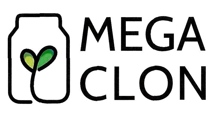 mega clon