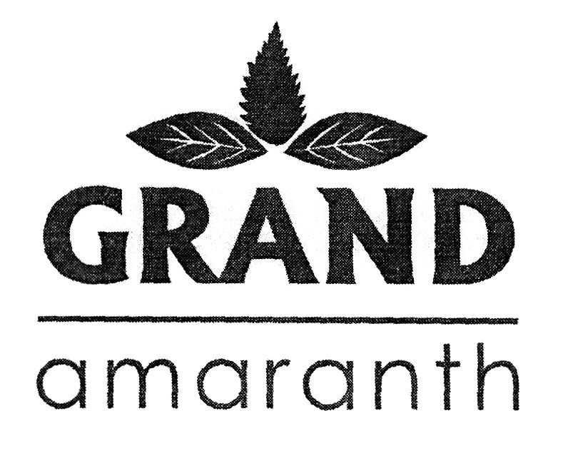 grand amaranth