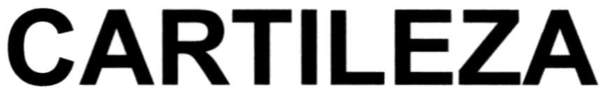 cartileza