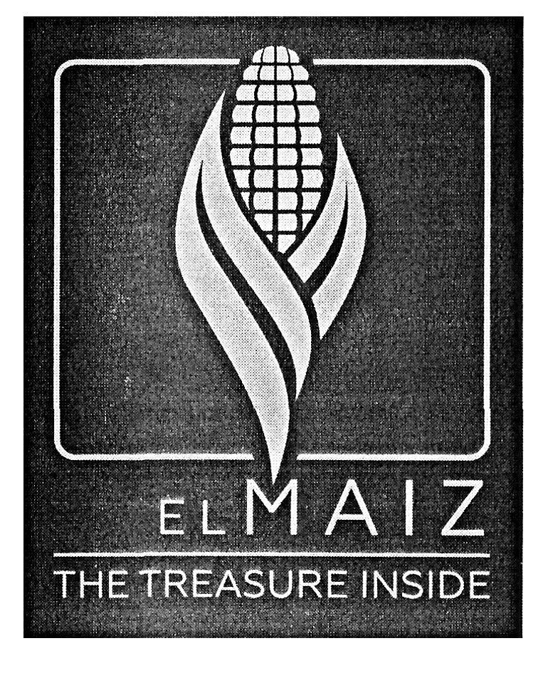 the treasure inside
