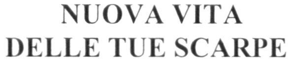 nuova vita delle tue scarpe