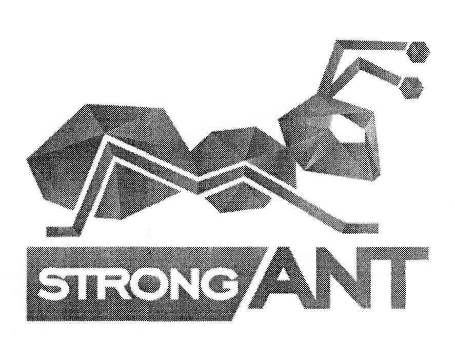 strong ant