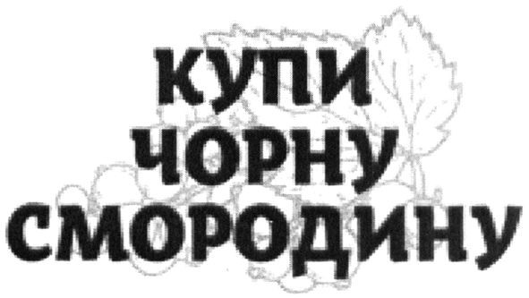 купи чорну смородину