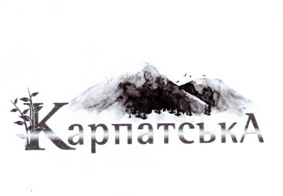 карпатська