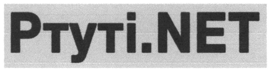 ptyti.net