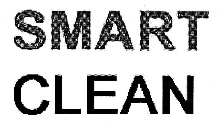 smart clean
