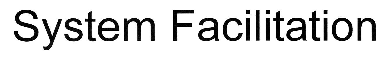 system facilitation