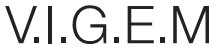 v.i.g.e.m