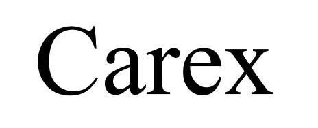 carex