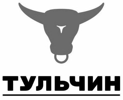 тульчин