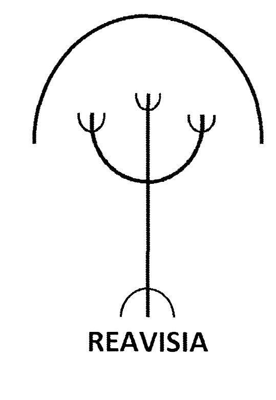 reavisia