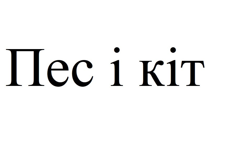 пес і кіт