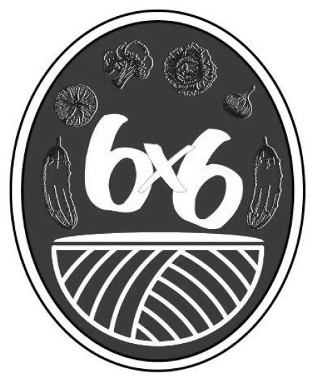 6x6